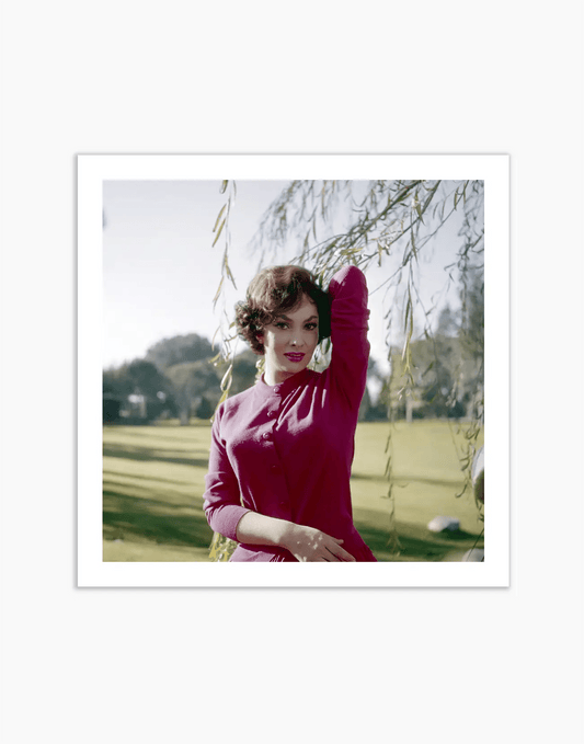 Gina Lollobrigida, 1955 - Farabola WhiteWall App Product