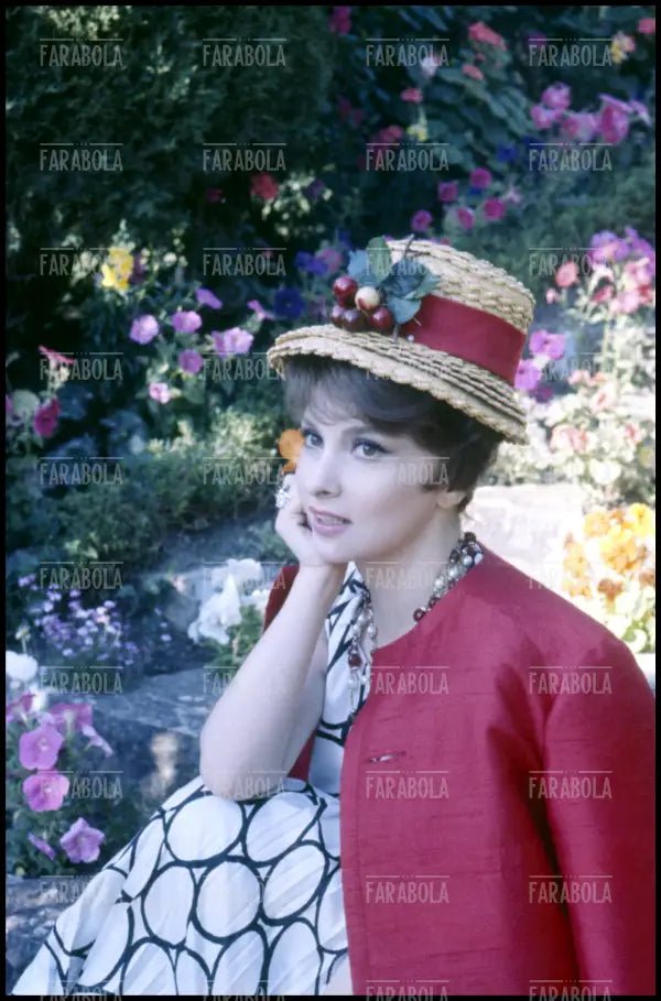 Gina Lollobrigida, anni 60 - Farabola Immagine digitale