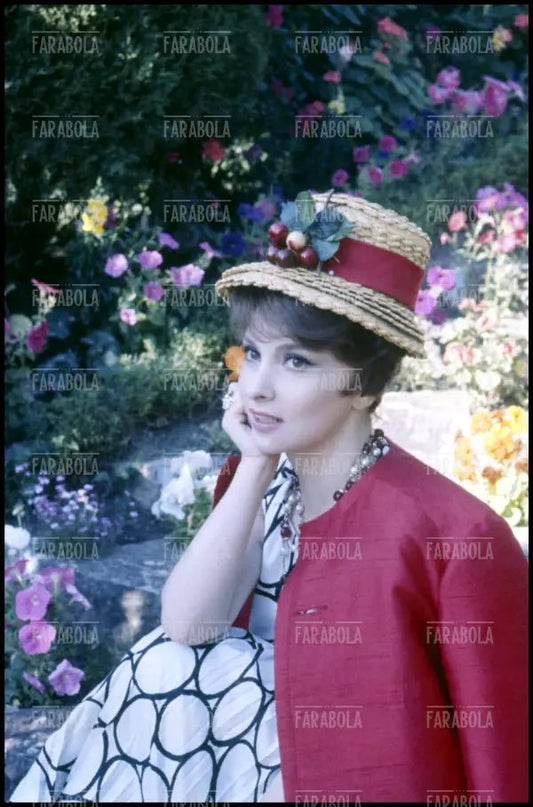Gina Lollobrigida, anni 60 - Farabola Immagine digitale