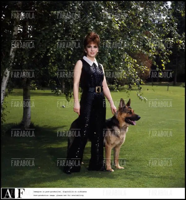 Gina Lollobrigida con il suo cane, Roma, 1967 - Farabola Immagine digitale
