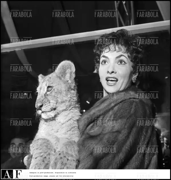 Gina Lollobrigida, Milano, 1956 - Farabola Immagine digitale