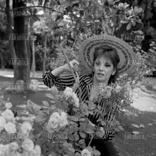 Gina Lollobrigida, Roma, 1967 - Farabola Immagine digitale