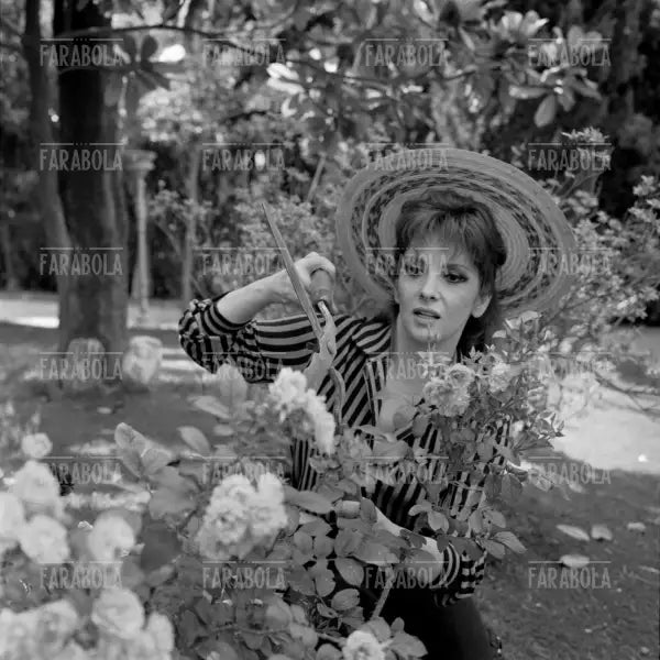 Gina Lollobrigida, Roma, 1967 - Farabola Immagine digitale