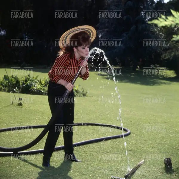 Gina Lollobrigida, Roma, 1967 - Farabola Immagine digitale