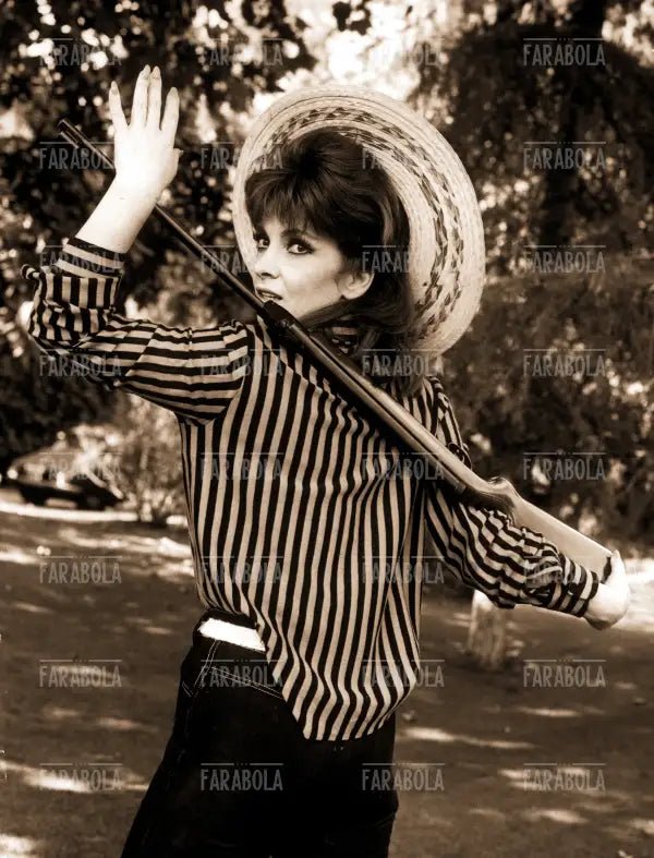 Gina Lollobrigida, Roma, 1967 - Farabola Immagine digitale