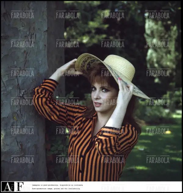 Gina Lollobrigida, Roma, 1967 - Farabola Immagine digitale