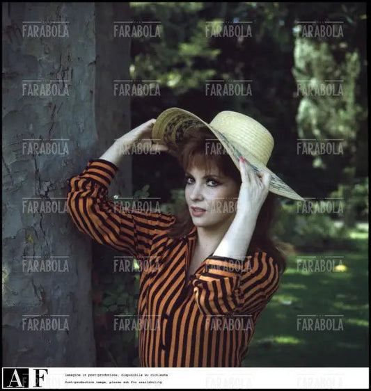 Gina Lollobrigida, Roma, 1967 - Farabola Immagine digitale