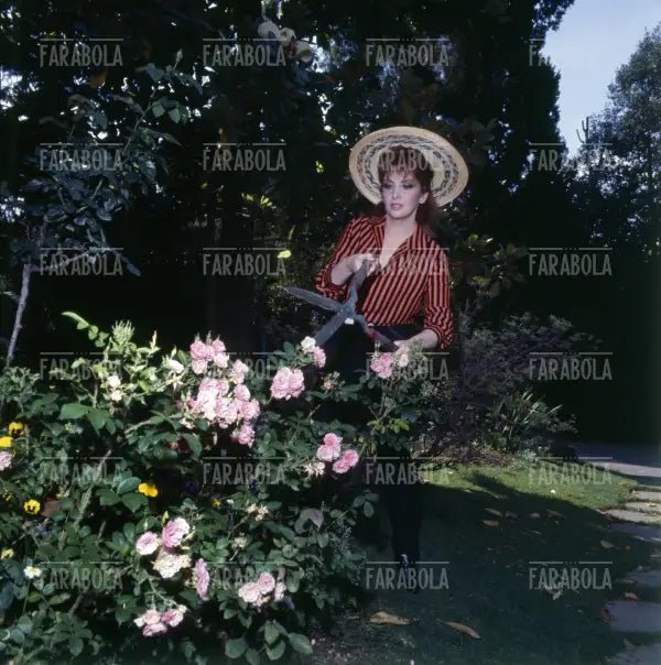 Gina Lollobrigida, Roma, 1967 - Farabola Immagine digitale