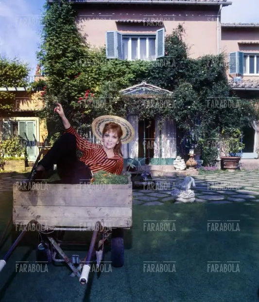 Gina Lollobrigida, Roma, 1967 - Farabola Immagine digitale