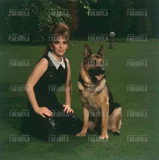 Gina Lollobrigida, Roma, 1967 - Farabola Immagine digitale