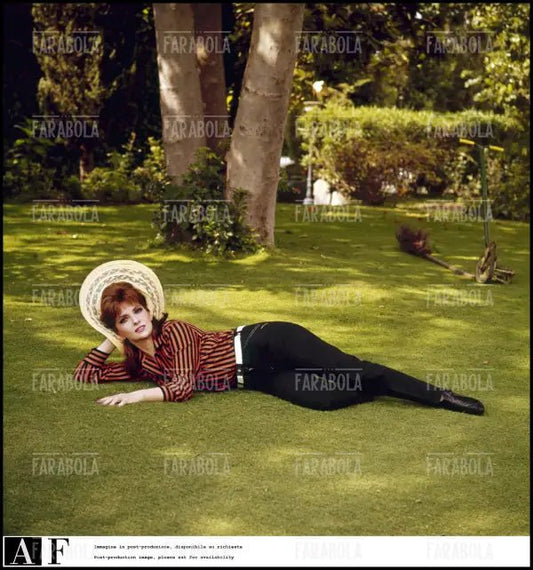 Gina Lollobrigida, Roma, 1967 - Farabola Immagine digitale