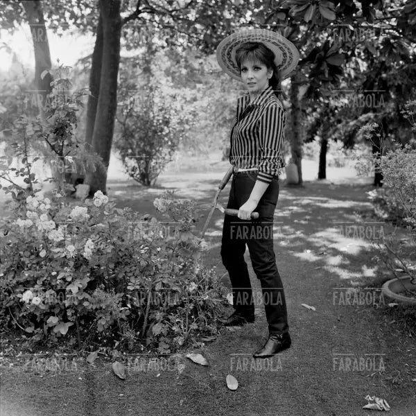Gina Lollobrigida, Roma, 1967 - Farabola Immagine digitale