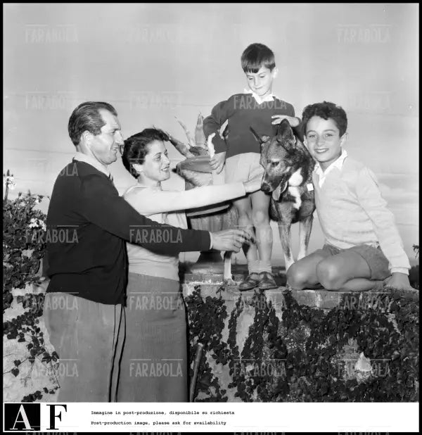 Gino Bartali con la famiglia e il cane, 1952 - Farabola Immagine digitale