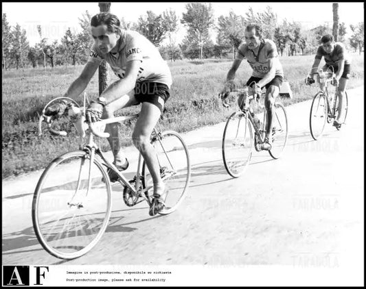 Gino Bartali, Giro dell'Emilia, 1952 - Farabola Immagine digitale