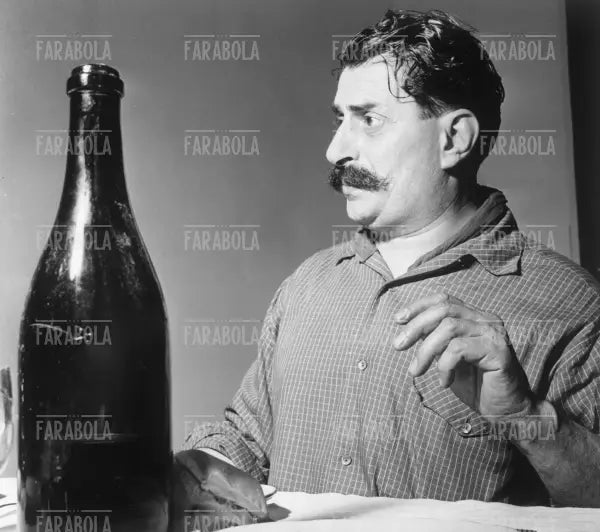 Giovanni Guareschi dopo la scarcerazione, 1955 - Farabola Immagine digitale