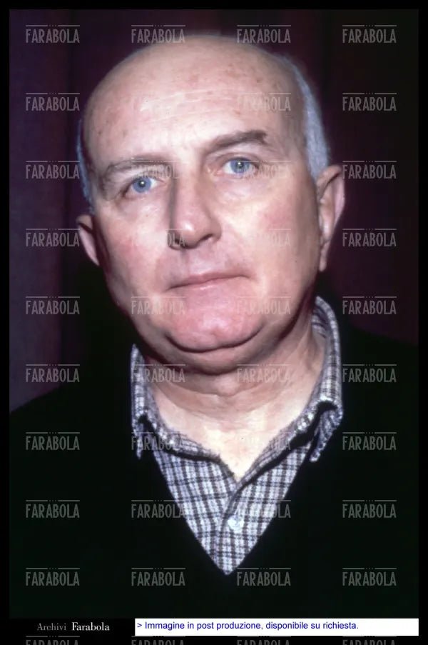 Giovanni Testori, 1983 - Farabola Immagine digitale