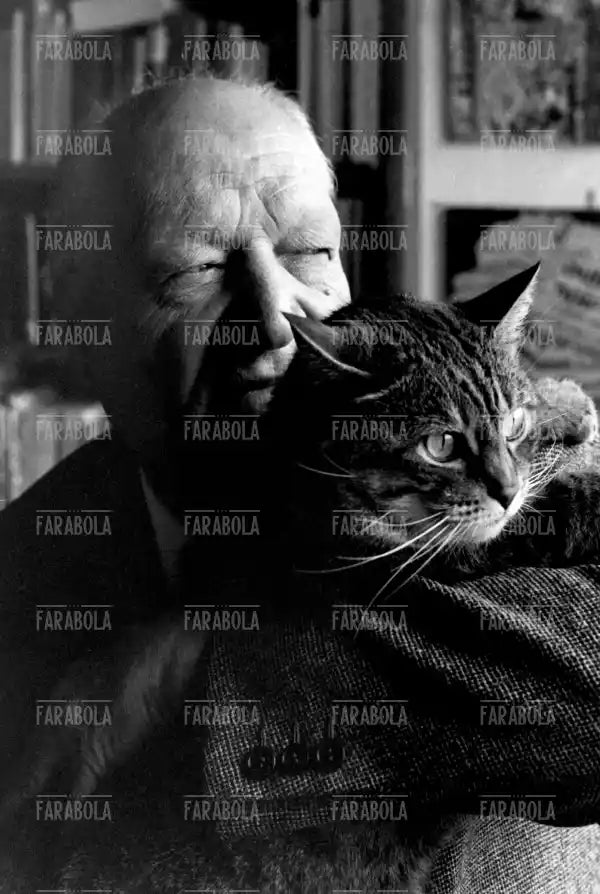 Giuseppe Ungaretti con il suo gatto, 1963 - Farabola Immagine digitale