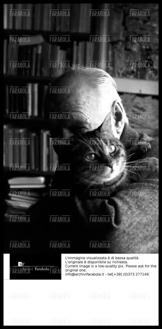 Giuseppe Ungaretti con il suo gatto, 1963 - Farabola Immagine digitale
