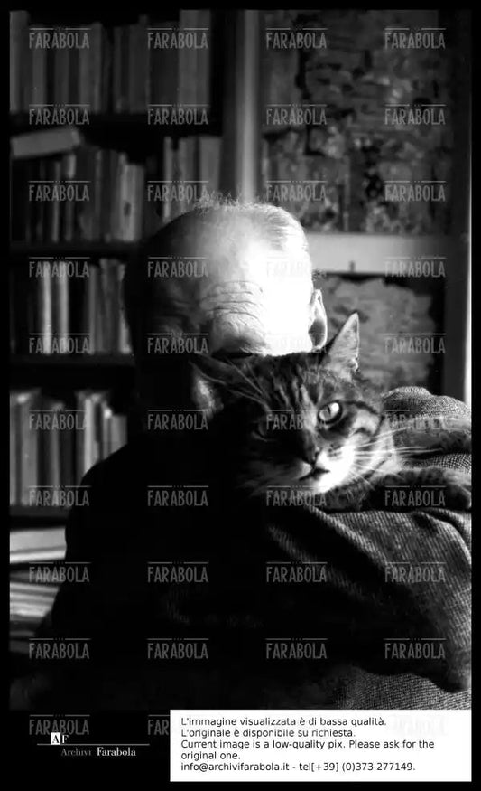 Giuseppe Ungaretti con il suo gatto, 1963 - Farabola Immagine digitale