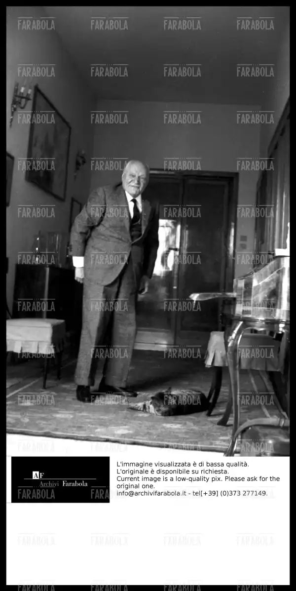 Giuseppe Ungaretti con il suo gatto, Roma, 1963 - Farabola Immagine digitale