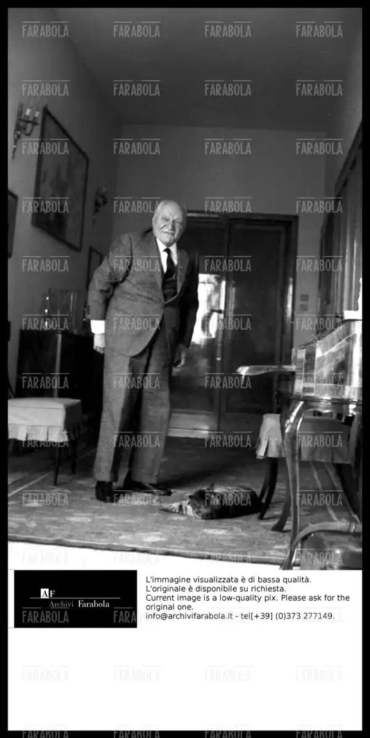 Giuseppe Ungaretti con il suo gatto, Roma, 1963 - Farabola Immagine digitale