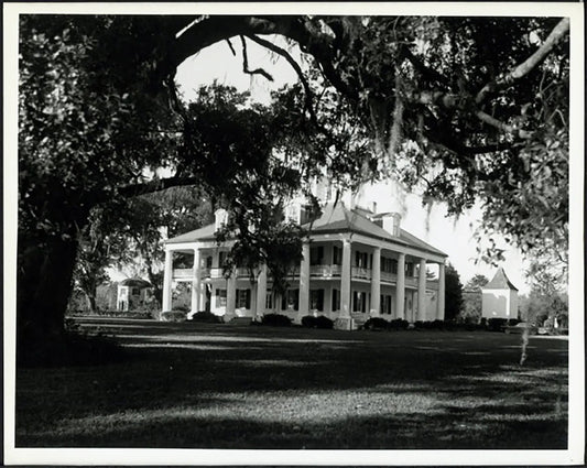 Houmas House in Louisiana anni 60 Ft 38004 - Stampa 20x25 cm - Farabola Stampa ai sali d'argento
