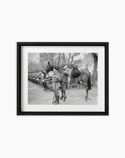 Il cavallo Albino del reggimento Gorizia, 1950 - Farabola Fotografia