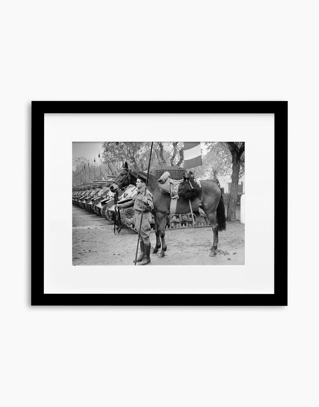 Il cavallo Albino del reggimento Gorizia, 1950 - Farabola WhiteWall App Product