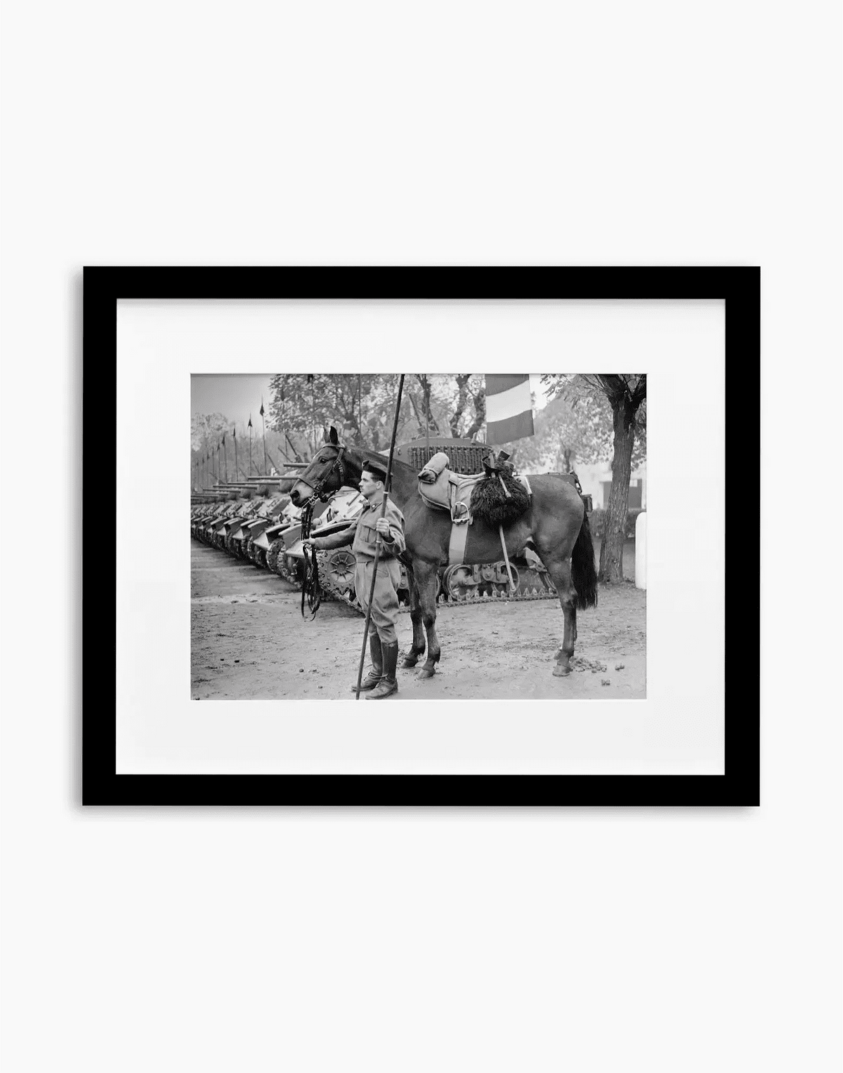 Il cavallo Albino del reggimento Gorizia, 1950 — stampa fine art con cornice nera