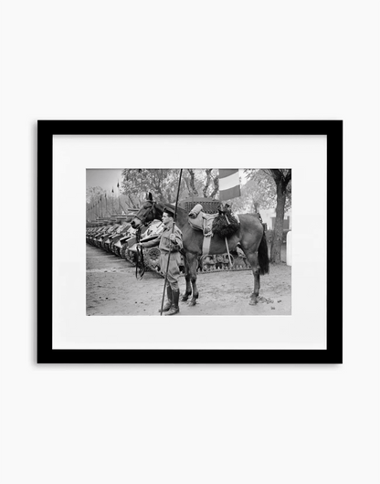 Il cavallo Albino del reggimento Gorizia, 1950 — stampa fine art con cornice nera