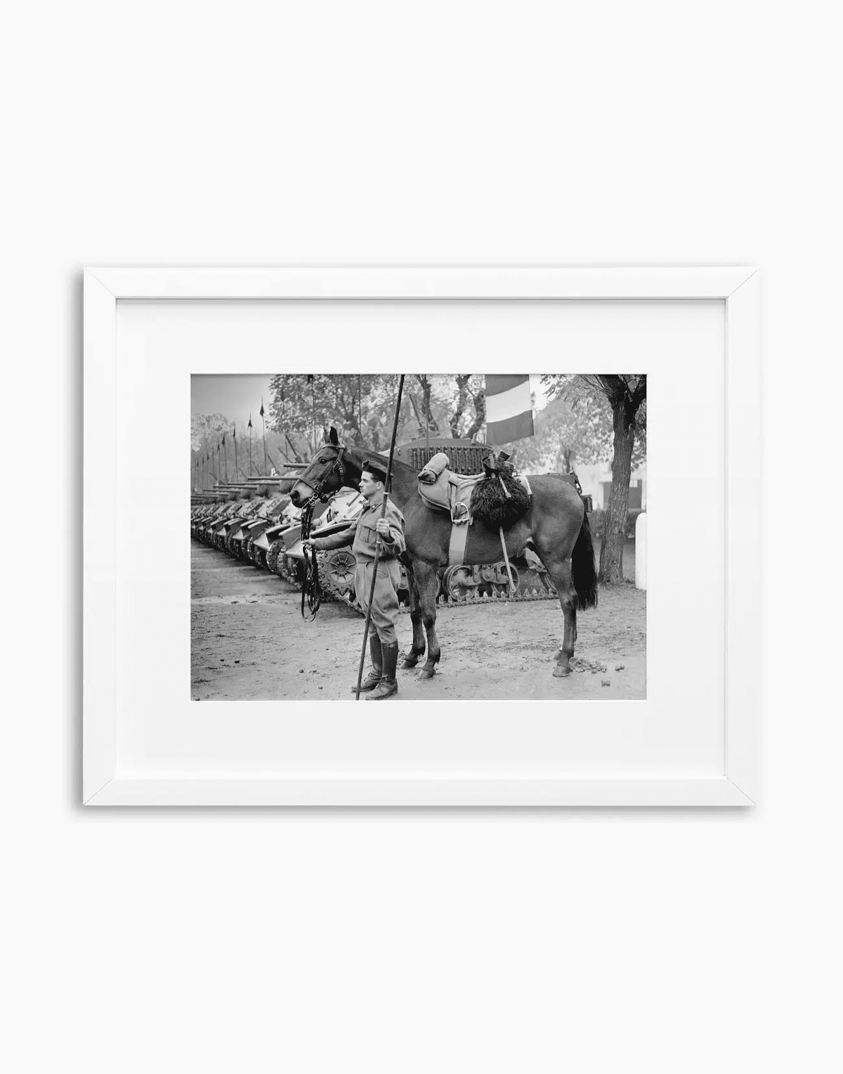 Il cavallo Albino del reggimento Gorizia, 1950 — stampa fine art con cornice bianca