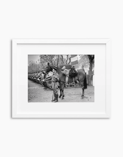 Il cavallo Albino del reggimento Gorizia, 1950 — stampa fine art con cornice bianca