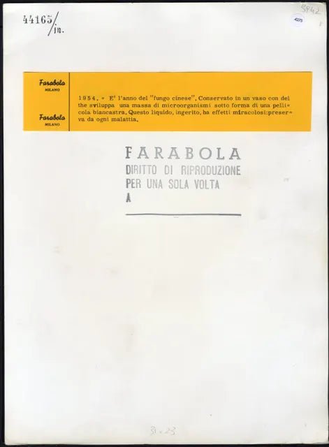 Il fungo cinese rimedio del 1954 Ft 4275 - Stampa 31x23 cm - Farabola Stampa ai sali d'argento