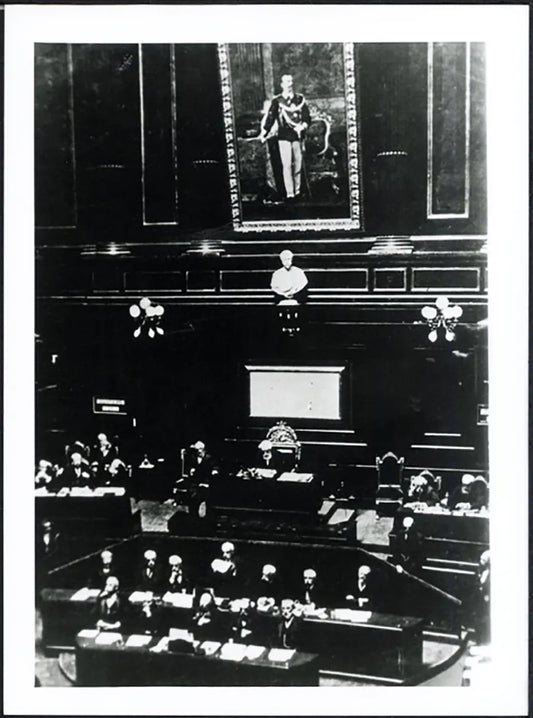 Il Senato concede pieni poteri a Salandra 1915 Ft 37763 - Stampa 24x18 cm - Farabola Stampa ai sali d'argento (anni 90)