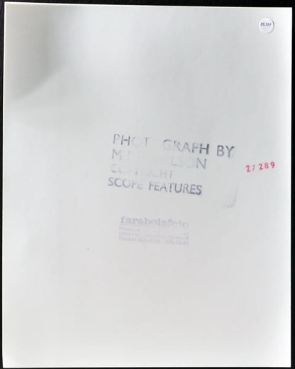 Jenny Blyth Modella anni 80 Ft 35517 - Stampa 20x25 cm - Farabola Stampa ai sali d'argento