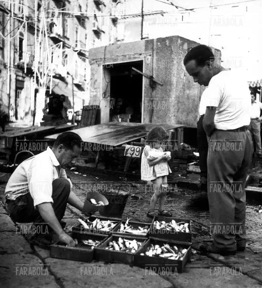 La bancarella del pesce al mercato, Napoli, 1952 - Farabola Immagine digitale