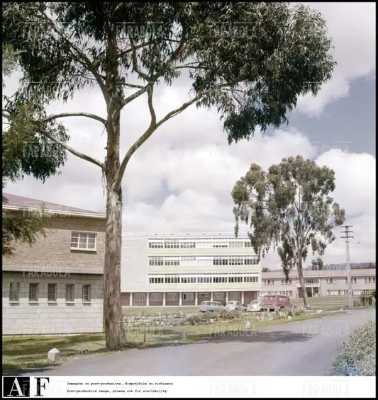 La scuola italiana ad Addis Abeba, 1958 - Farabola Immagine digitale