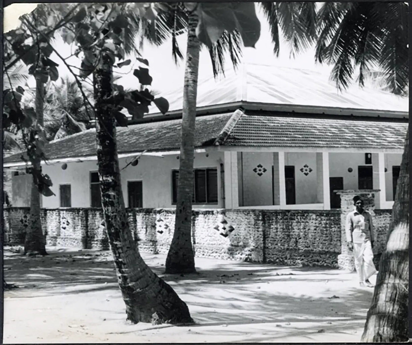 La vita alle Maldive 1959 Ft 5206 - Stampa 20x15 cm - Farabola Stampa ai sali d'argento