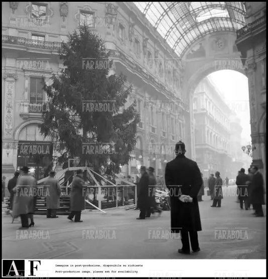 L'albero di Natale in Galleria Vittorio Emanuele II, Milano, 1960 - Farabola Immagine digitale