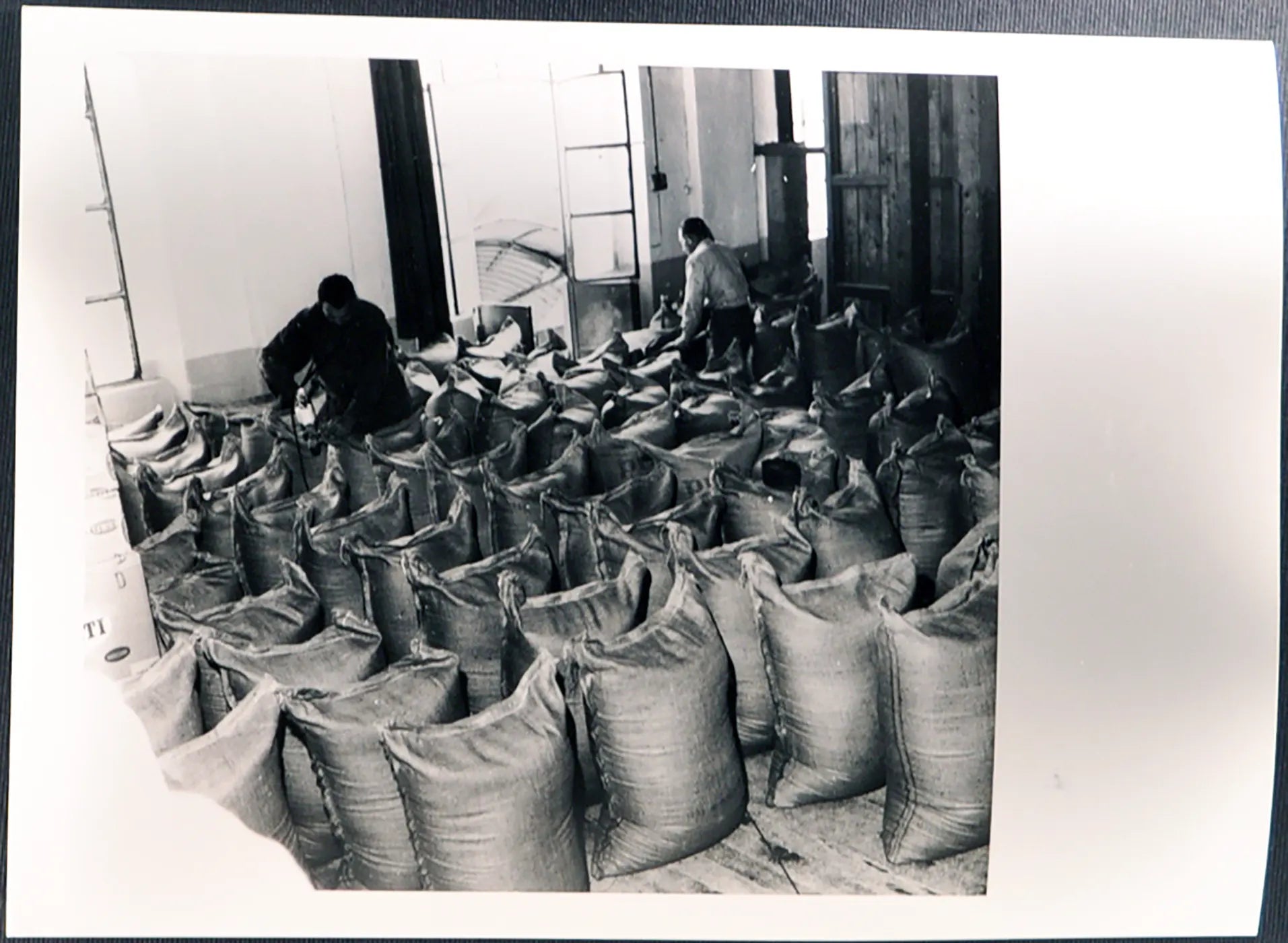 Lavorazione del riso 1959 Ft 3116 - Stampa 24x18 cm - Farabola Stampa ai sali d'argento (anni 90)