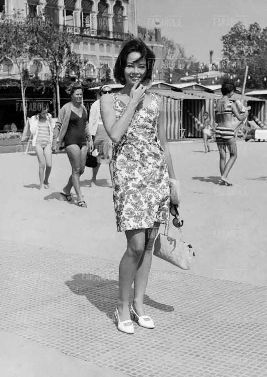 Leslie Caron, Festival di Venezia, 1966 - Farabola Immagine digitale