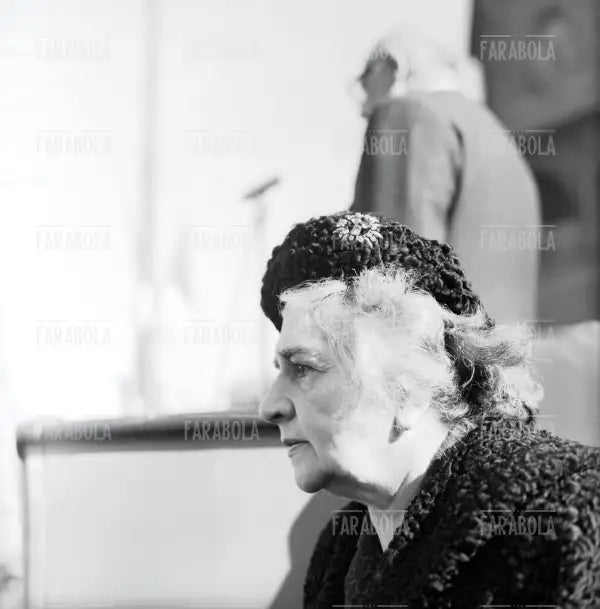 Lina Merlin al convegno Operai per la Pace, 1962 - Farabola Immagine digitale