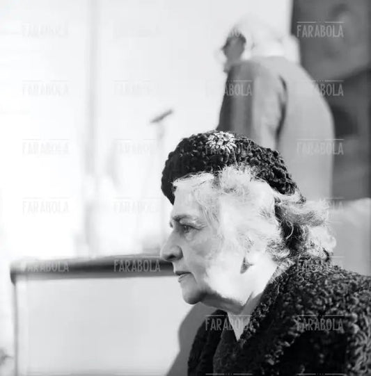 Lina Merlin al convegno Operai per la Pace, 1962 - Farabola Immagine digitale