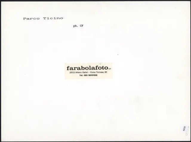 Lombardia Parco Ticino anni 90 Ft 3539 - Stampa 24x18 cm - Farabola Stampa ai sali d'argento