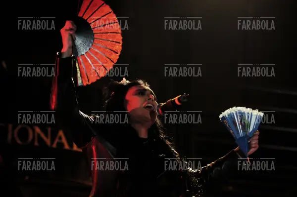 Loredana Bertè, concerto di Ron, Vigevano, 2003 - Farabola Immagine digitale