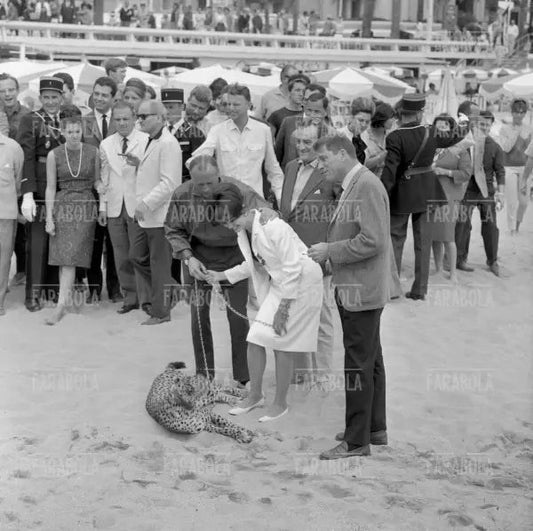 Luchino Visconti, Claudia Cardinale e Burt Lancaster, Festival di Cannes, 1963 - Farabola Immagine digitale