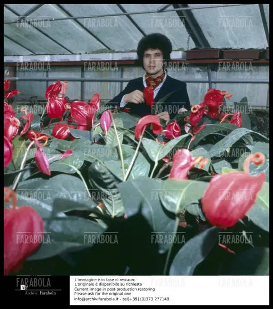 Lucio Battisti, anni 60 - Farabola Immagine digitale