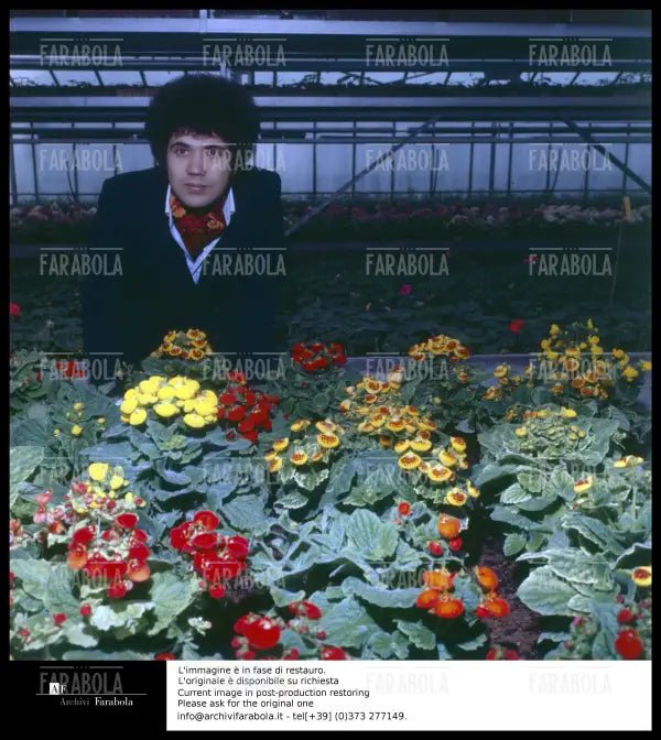 Lucio Battisti, anni 60 - Farabola Immagine digitale