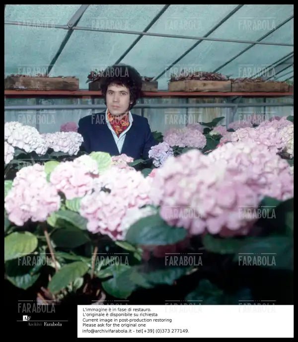 Lucio Battisti, anni 60 - Farabola Immagine digitale