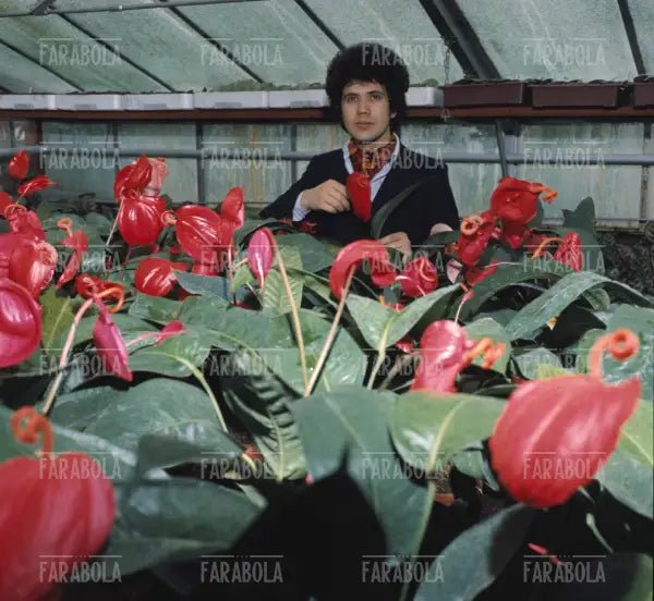 Lucio Battisti, anni 60 - Farabola Immagine digitale